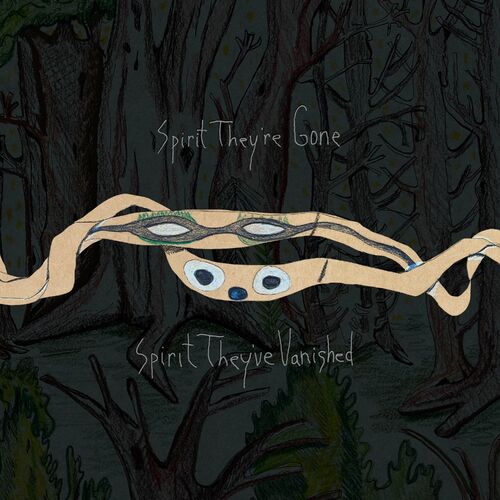 Animal Collective – Spirit They’re Gone, Spirit They’ve Vanished